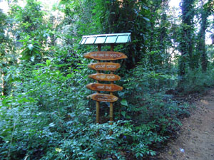 Path direction sign posts are placed at all junctions